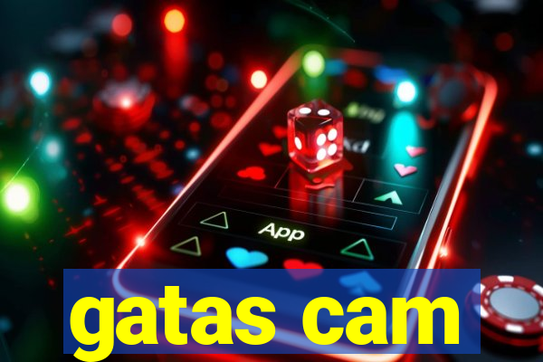 gatas cam
